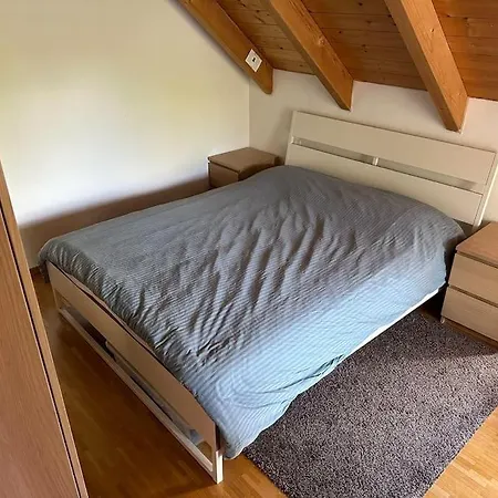 Apartman Cozy Flat In