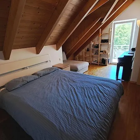 Cozy Flat In Apartment Munich